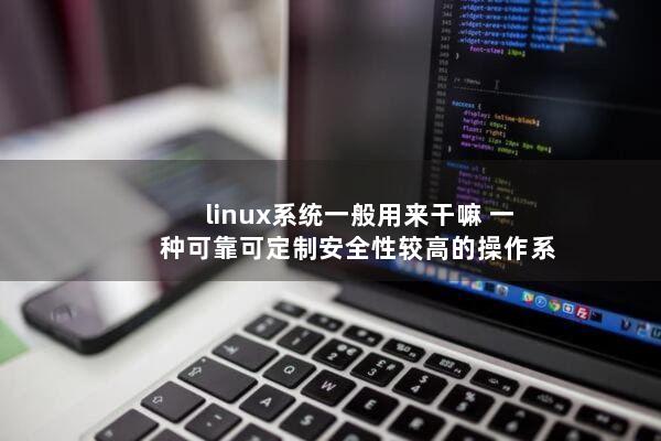 linux系统一般用来干嘛（一种可靠可定制安全性较高的操作系统）